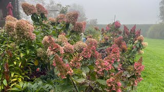 ЗАКРЫТИЕ СЕЗОНА. Прогулка по осеннему саду. 16.10.24. Швейцария