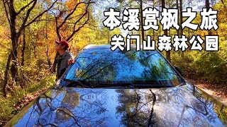 赏枫之旅～本溪关门山国家森林公园，这里的枫叶太美了【行走世界的北京老刘】