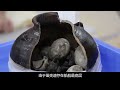 南海一號沉船：一筐咸鴨蛋背后隱藏的800年秘密 古董 開棺 古墓 考古發現 考古