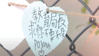 東張西望｜節目早前報道黃大仙某小學因面臨殺校向教育局申請「特別視學」，結果被拒｜民生｜TVBUSA