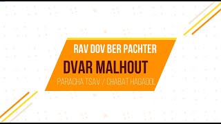 Dvar Malkhout Paracha : Tsav