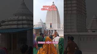 ଯୋରନ୍ଦା ଗାଦିମନ୍ଦିର ରେ ଭକ୍ତଙ୍କ ଭିଡ଼ | mahimadharma | Jorandagadi #mahimaalekha #shorts #jorandagadi