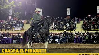 🐴 COQUITO ~ ADRIÁN GAXIOLA ~ FERIA GANADERA CULIACAN