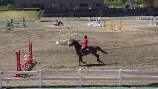 2019.5.10 第91回関東学生馬術選手権大会 1回戦 障害馬術競技 田中宏明 慶湊号