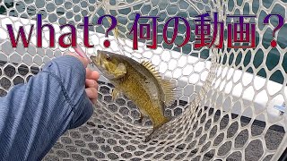 春の桧原湖　japanfishing