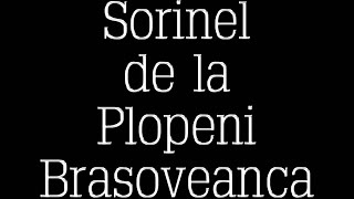 SORINEL DE LA PLOPENI   BRASOVEANCA