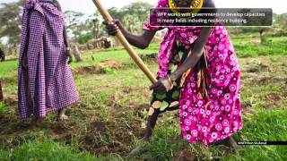 Resilience WFP (EN)