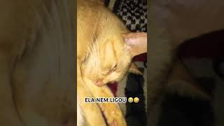 COLOCA ESTE ÁUDIO PERTO DO SEU GATO / PLACE THIS AUDIO NEAR YOUR CAT