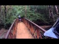 Yamaha Grizzly 450 Video