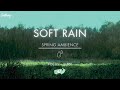 Soft Rain On Grass | NO ADS | Soothing Gentle Rain Sounds For Sleeping🌧