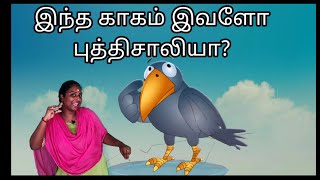 இந்த காகம் இவளோ புத்திசாலியா????  | The intelligent Crow