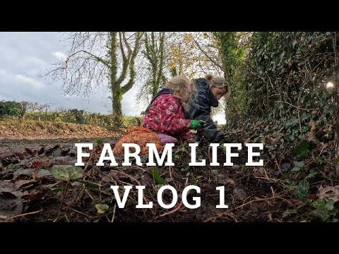 Farm Life Vlog 1 Youtube
