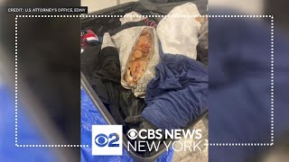 Cocaine smuggled into JFK Airport inside frozen shrimp bags, authorities say
