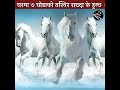 घरमा सात घोडाको तस्विर लागाउँदा हे हुन्छ हेर्नुहोस् । vastu picture of 7 horse