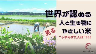 【土・水・生き物の呼吸】田植えまで\