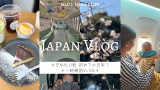 [Japan vlog] My Hawaii-born son returns to Japan for the first time 🇯🇵 | Delicious Japanese food!