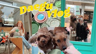 Life in Korea VLOG | Daegu is for Cafes, Dogs, and Friends