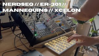 Eurorack Ambient Performance // ER-301 // Nerdseq