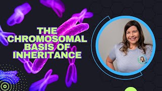 The Chromosomal Basis of Inheritance (Bio Ch. 15)