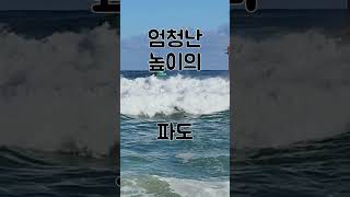 속초 겨울바다는 무서워ㅠ