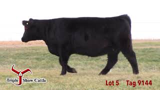 Lot 5 Tag 9144