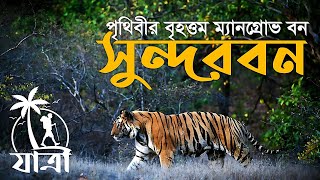 সুন্দর ভয়ংকর সুন্দরবন   সবচেয়ে বড় ম্যানগ্রোভ বন   Largest Mangrove Forest Sundarbans  @jaatri travel