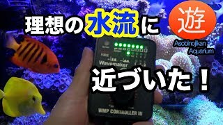 水流ポンプ Jebao WMP4000R 増設してみた【海水魚水槽】