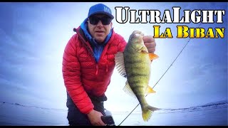 O partida memorabila la biban pe raul Olt. Perch Fishing.