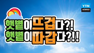 [30초 과학] 햇볕이 뜨겁다?! 햇볕이 따갑다!! / YTN 사이언스