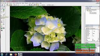 WORKING WITH MULTIPLE FORMS USING VISUAL BASICS