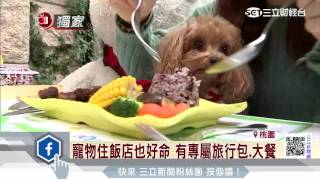 搶寵物商機　飯店供主人跟毛小孩同住｜三立財經台CH88