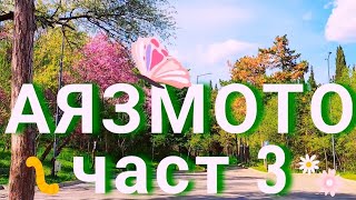 АЯЗМОТО 3 | Розова разходка | AYAZMO Part 3 | Relaxing nature walk  @enigmaticshots