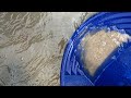 Gold prospecting on the south platte river finding flour gold.