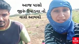 આજ પાસો જીરું ઉપાડવા નો વારો આયવો [][]R and R family vlog [][]village life ખેડૂત નું જીવન [][]