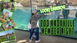 Zoo Knoxville member night | otters, apes, lions and more | food review