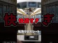 新快速が速すぎる ゆっくりショート shorts ゆっくり解説 新快速 jr西日本 鉄道