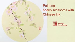 Painting cherry blossoms with Chinese ink  没骨工笔画