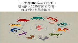 2025年乙巳年生肖属马的命主运势预测。#十二生肖运程 #四柱八字 #属马 #星座 #2025运势 #2025年の運勢 #易经 #风水