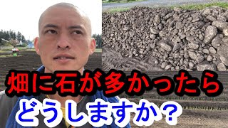 【石の多い畑　どうしますか？