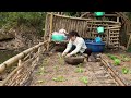 single mother hanna and her mischievous monkey harvest carrots to sell at the market.