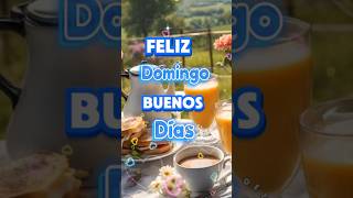 Feliz Domingo!☕🌺🦋💕🌹 #buenosdias #bendiciones #viralvideo #frases #dios #sunday