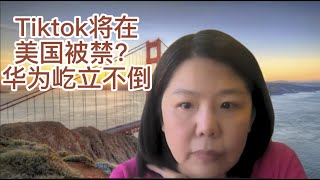 【小镇小民】230228 直播回放 4/4 科技新闻喜忧参半