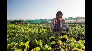 How Can Surging Youth Populations Transform Global Food Security?