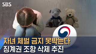 자녀 체벌 금지 못박는다…'오해 소지' 징계권 삭제 추진 / SBS