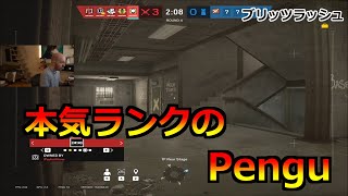 [R6S] Penguの本気大会と本気ランク I 見るだけで勉強になる！ [Pengu日本語字幕]