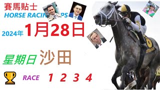 「賽馬貼士」🐴  2023 年 1 月 28 日 沙田🐴    香港賽馬貼士  HONG KONG HORSE RACING TIPS  🐴 RACE  1  2  3  4
