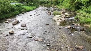 興津川　鮎釣り　2018　6月29日　清地浄水場