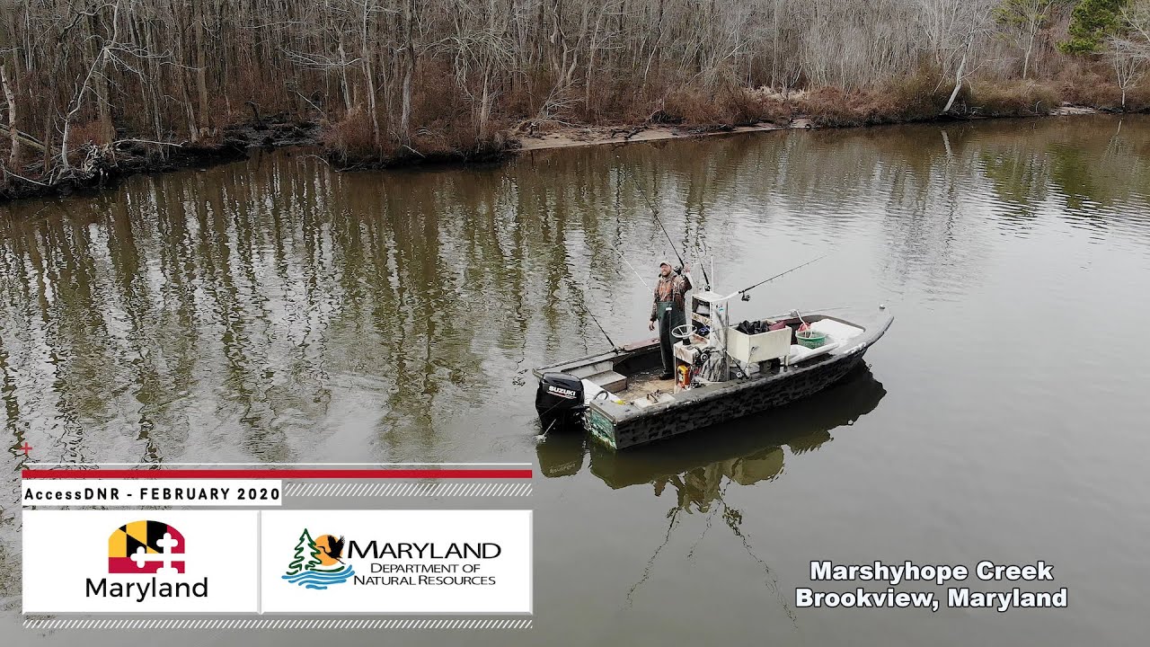 AccessDNR February 2020 - Maryland Department Of Natural Resources ...