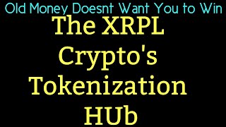 Ripple XRP News OMNI Labs CEO Austin King Is Excited About The Future of The XRPL