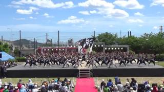 2017 6 4　犬山踊芸祭　近畿大学よさこい連洗心　メイン会場